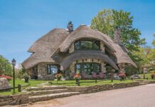 Foraging For Mushroom Houses