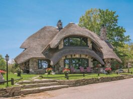 Foraging For Mushroom Houses