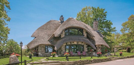 Foraging For Mushroom Houses