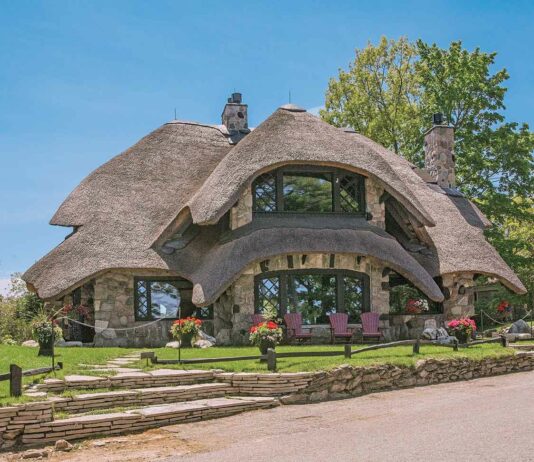 Foraging For Mushroom Houses