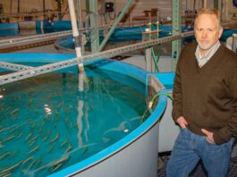 Hatching A Plan For The Future