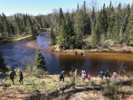 Today’s Efforts For Sturgeon Tomorrow