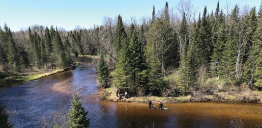 Today’s Efforts For Sturgeon Tomorrow