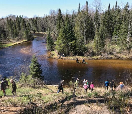 Today’s Efforts For Sturgeon Tomorrow