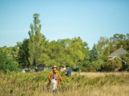 Taking The Long Road