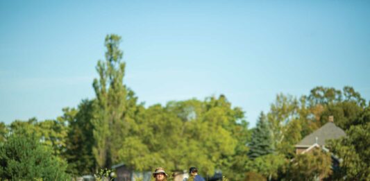 Taking The Long Road