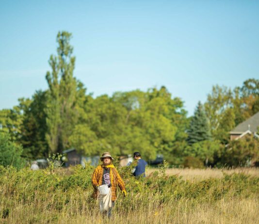 Taking The Long Road