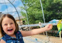 Adventure Ahead At Deer Tracks Junction