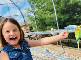 Adventure Ahead At Deer Tracks Junction