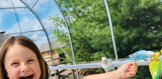 Adventure Ahead At Deer Tracks Junction