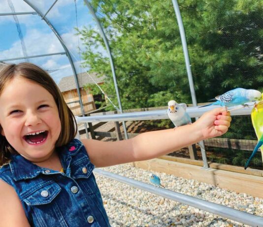 Adventure Ahead At Deer Tracks Junction