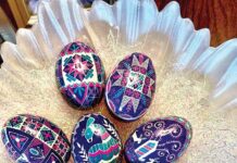 An Eggceptional Experience I Will Never Forget!