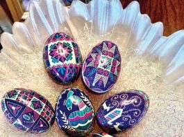 An Eggceptional Experience I Will Never Forget!