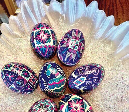 An Eggceptional Experience I Will Never Forget!