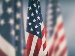 Meet the Director Candidates