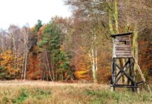 First Time Bow Hunting with Dad