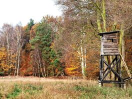 First Time Bow Hunting with Dad