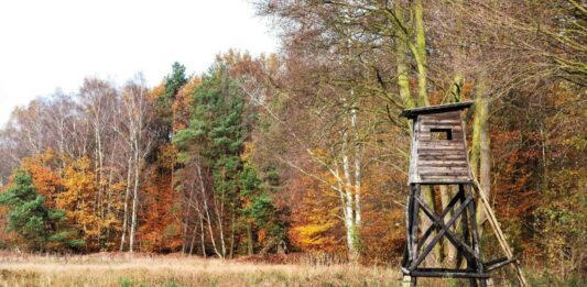 First Time Bow Hunting with Dad