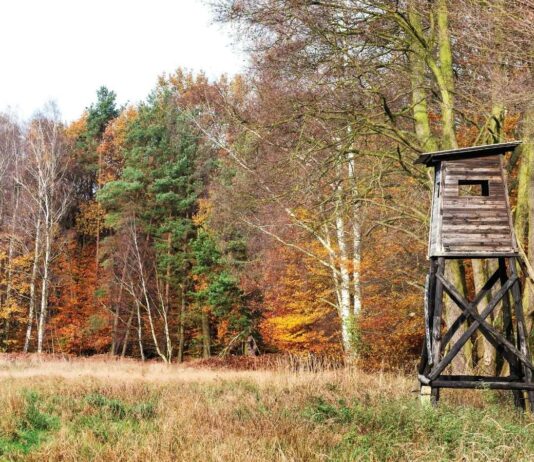 First Time Bow Hunting with Dad