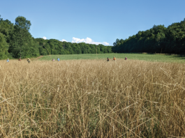 A Story 100 Years In The Making