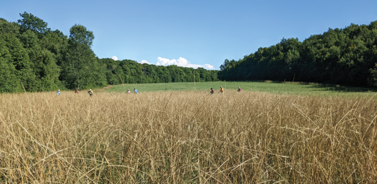 A Story 100 Years In The Making