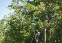 Get In, Get Out, Get to Work