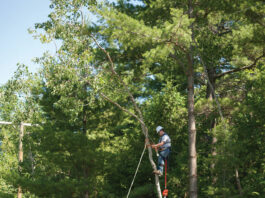 Get In, Get Out, Get to Work