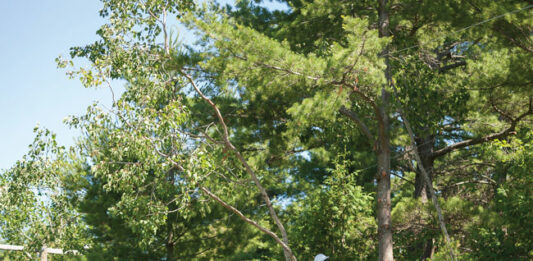 Get In, Get Out, Get to Work