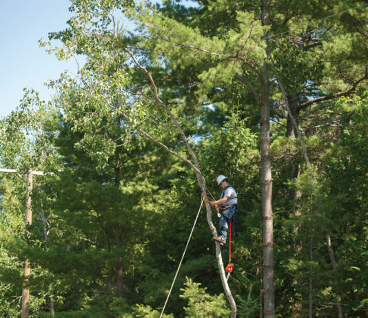 Get In, Get Out, Get to Work