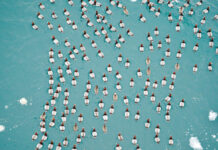 Redhead Ducks Flock to the Straits of Mackinac