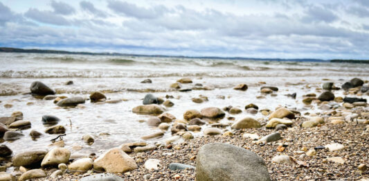Northern Michigan’s Natural Treasure: The Petoskey Stone