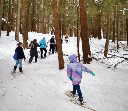 Hartwick Pines State Park: Evading the Axe