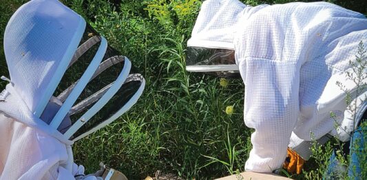 Bee-hind the Scenes at Hilbert’s Honey Co.