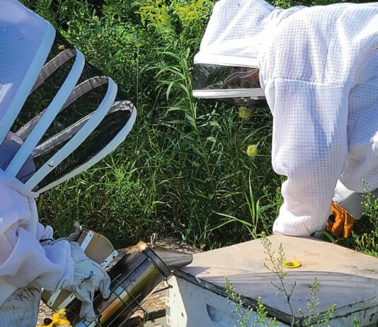 Bee-hind the Scenes at Hilbert’s Honey Co.