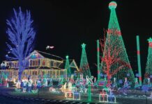 Nicol Family ChristmasLight Extravaganza