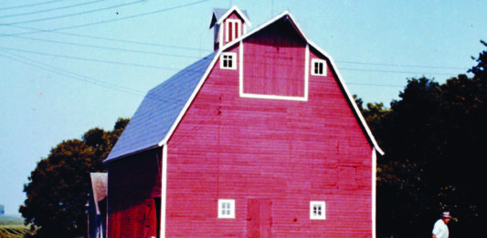 Farmyard Memories: The Chickens That Followed My Father