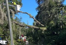 Restoring Power, Rebuilding Communities