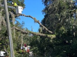 Restoring Power, Rebuilding Communities