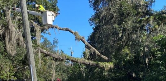 Restoring Power, Rebuilding Communities