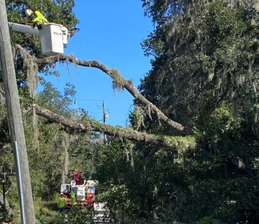 Restoring Power, Rebuilding Communities