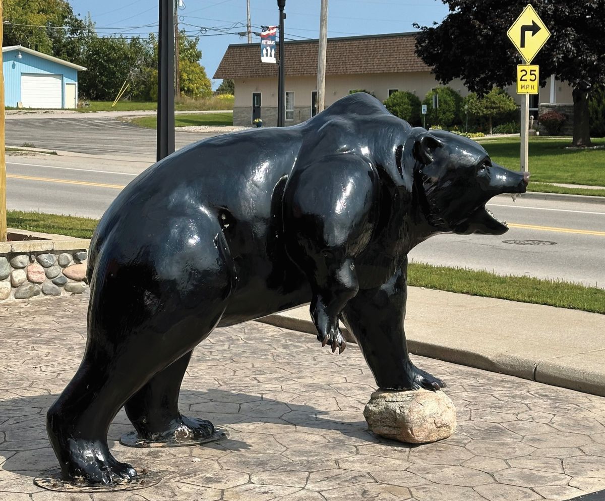 Bear Mystery Photo Woodwinds Restaurant Onaway