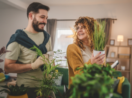 Spring into Savings with an AC Tune-Up