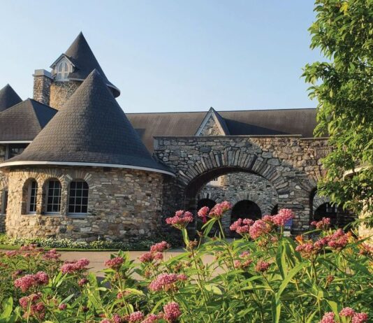 Castle Farms hosts ‘Antiques Roadshow’