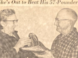 A North Woods Matriarch