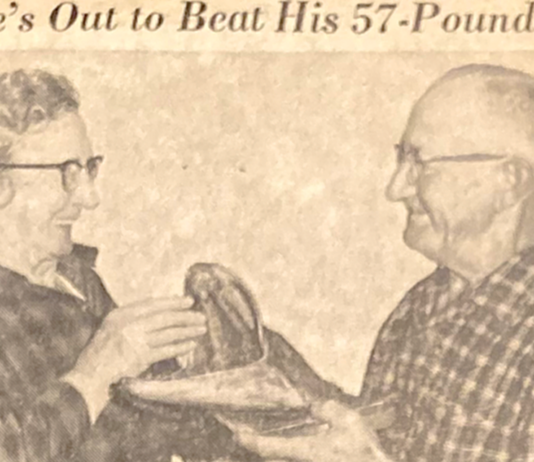 A North Woods Matriarch